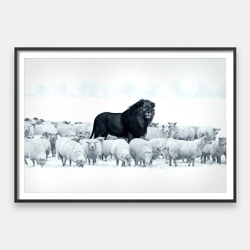 Lion Among Sheep