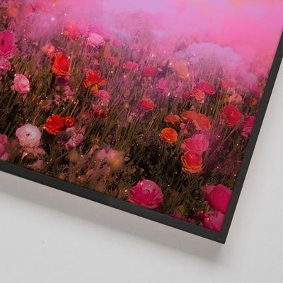 Floral Dreams